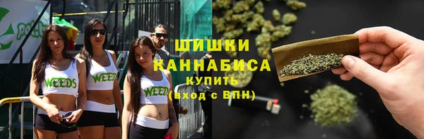 гашик Семилуки