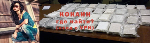 гашик Семилуки