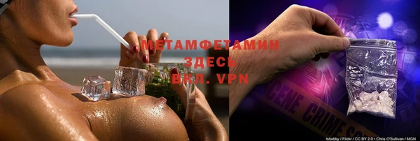прущие грибы Семёнов