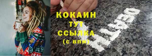 гашик Семилуки