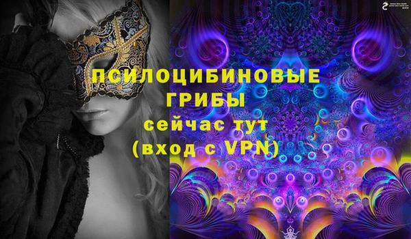 крисы Саяногорск