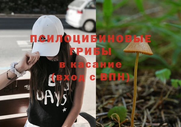 прущие грибы Семёнов