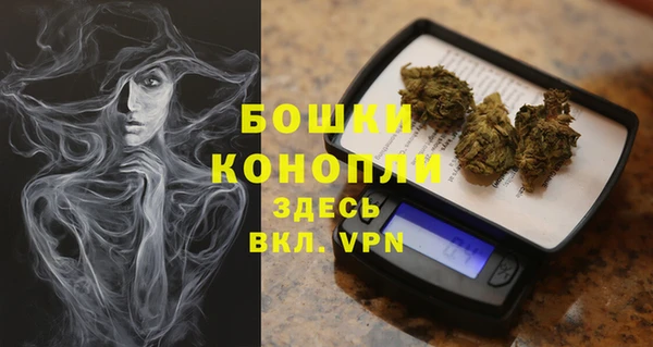 гашик Семилуки