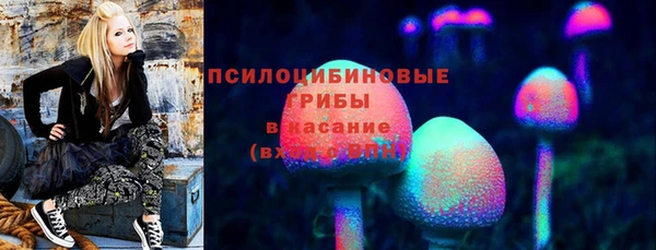 гашик Семилуки