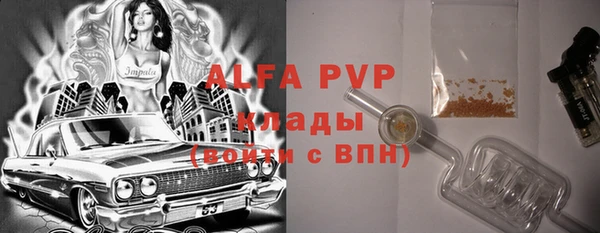 гашик Семилуки