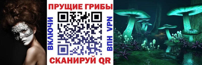 Купить где  Темников  Псилоцибиновые грибы Magic Shrooms 